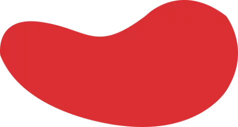 PA国际 (电子)集团官网